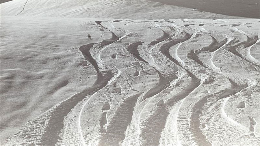 Spuren im Schnee Spuren im Schnee